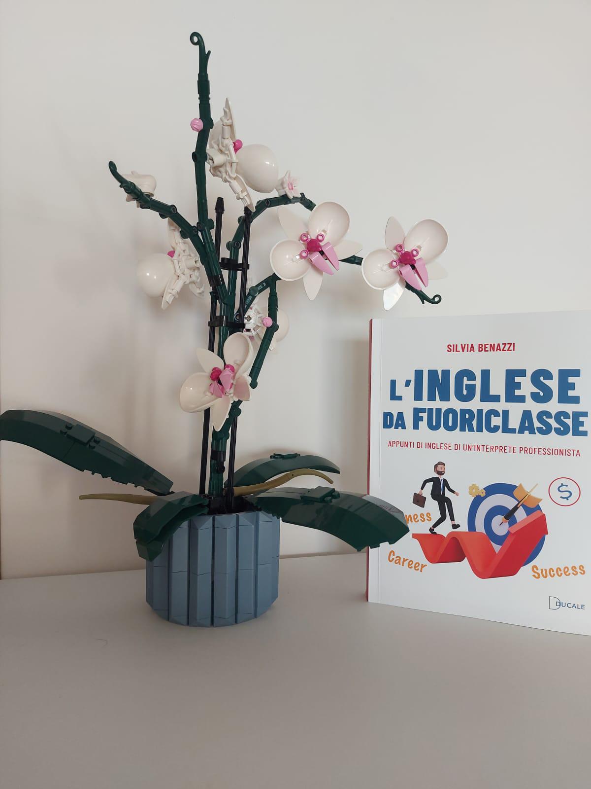 libro_l_inglese_da_fuoriclasse

